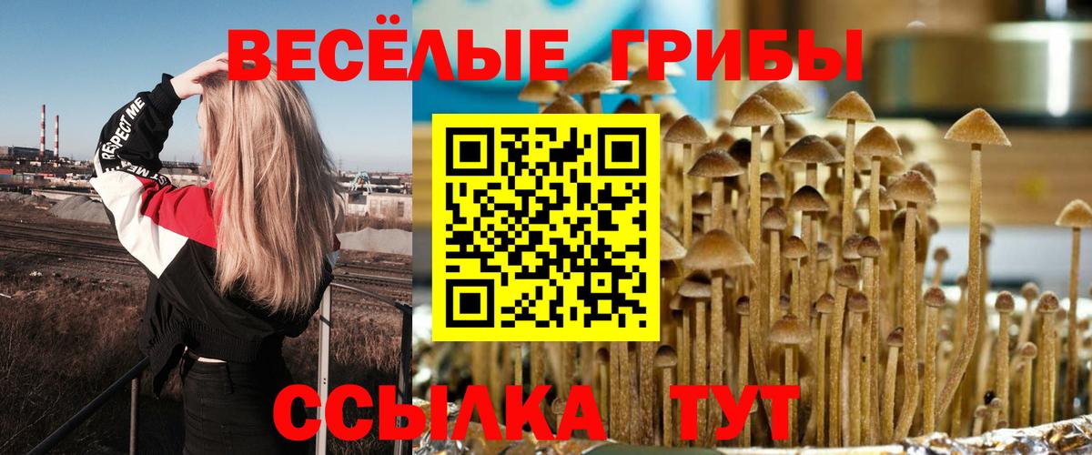Верхняя Салда  Псилоцибиновые грибы мухоморы  Вход с VPN 